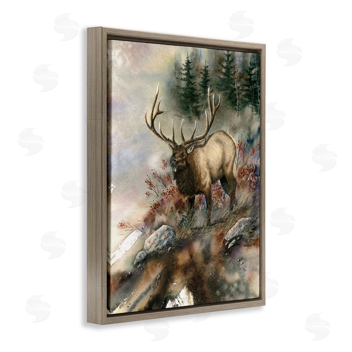 Dave Bartholet Elk Woodland Slope Clearing