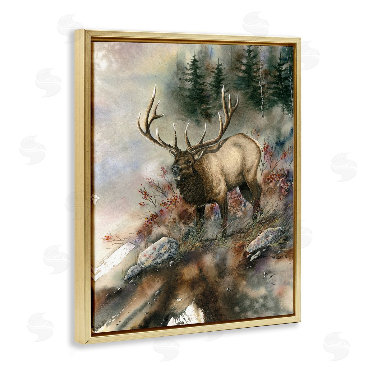 Dave Bartholet Elk Woodland Slope Clearing