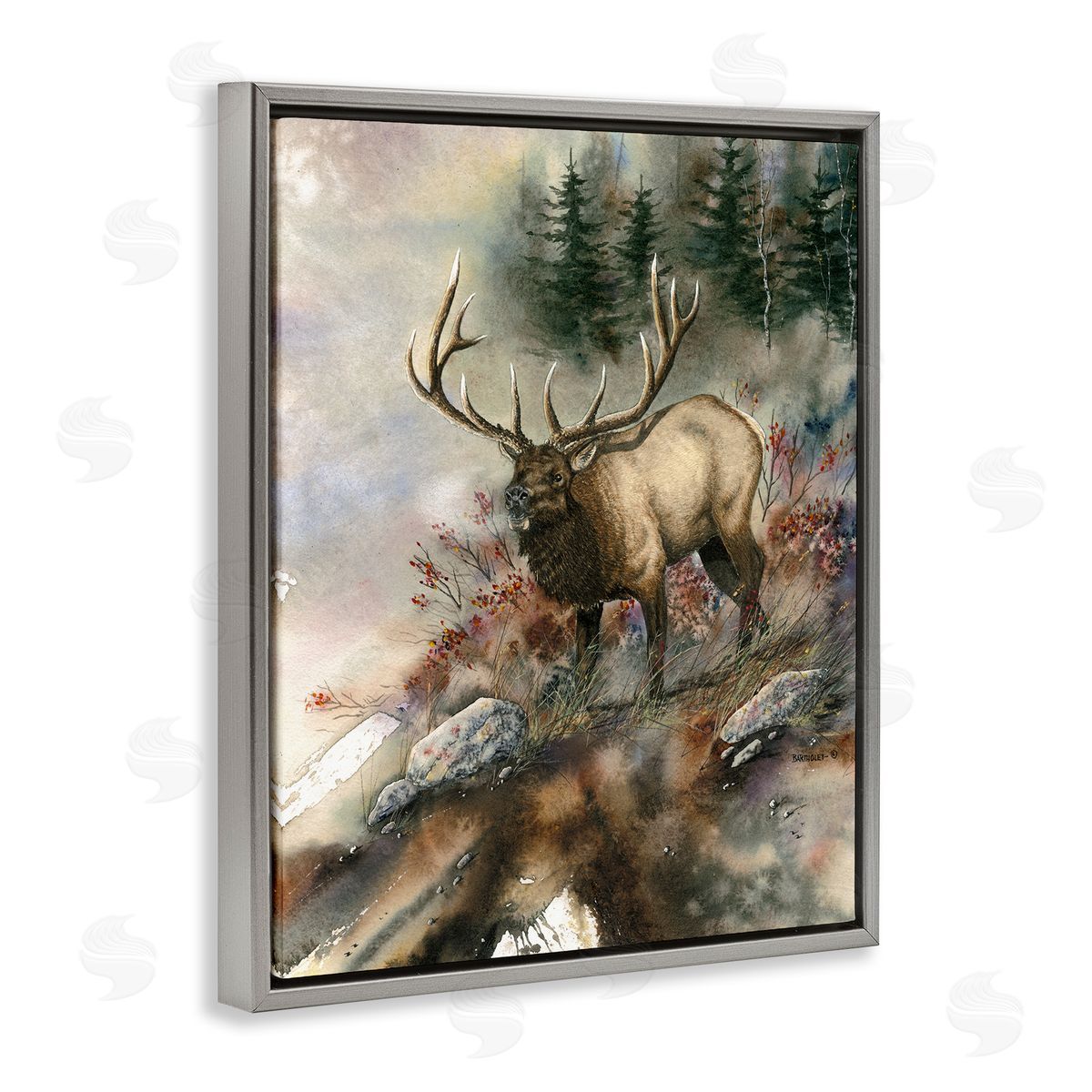 Dave Bartholet Elk Woodland Slope Clearing