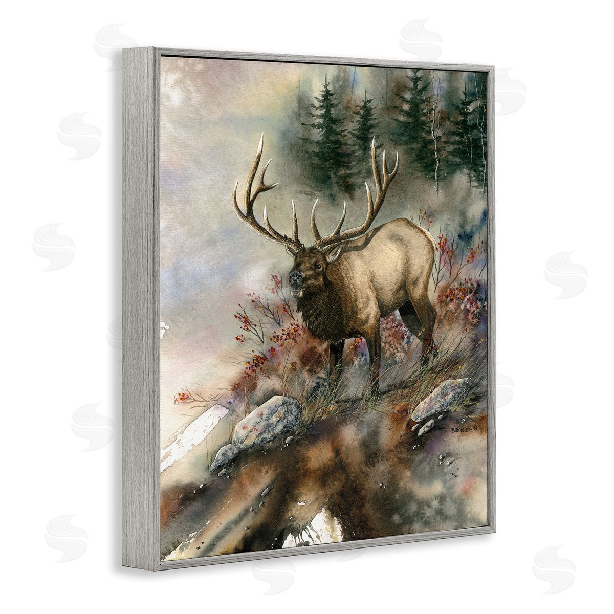 Dave Bartholet Elk Woodland Slope Clearing