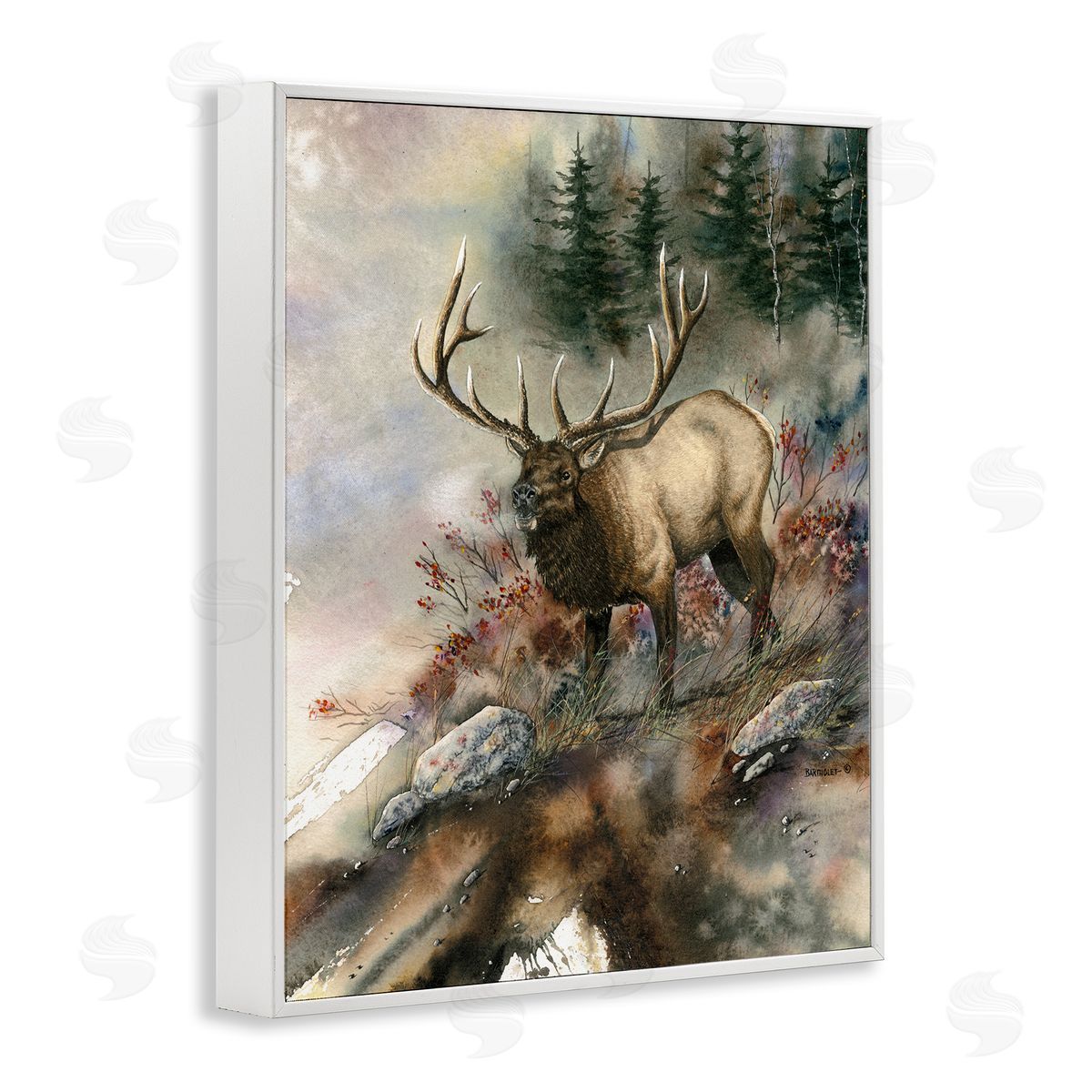 Dave Bartholet Elk Woodland Slope Clearing