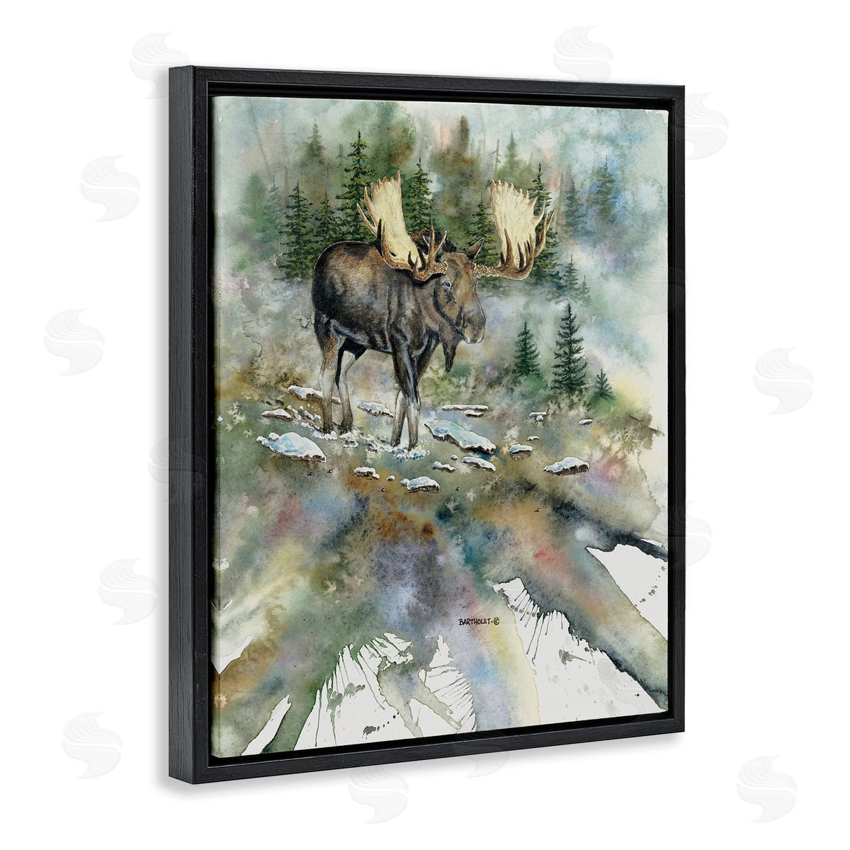 Dave Bartholet Moose Stepping Nature Wildlife