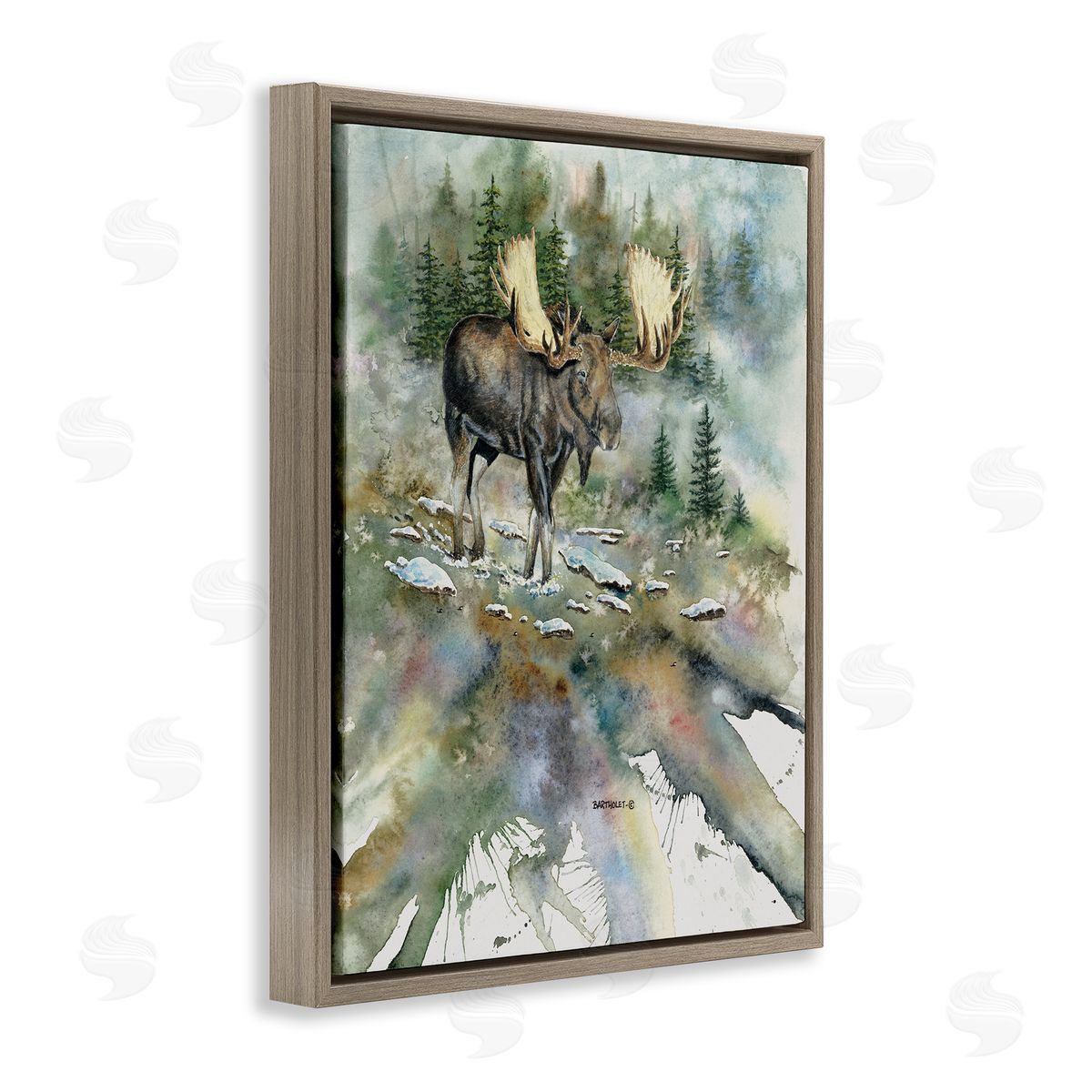 Dave Bartholet Moose Stepping Nature Wildlife