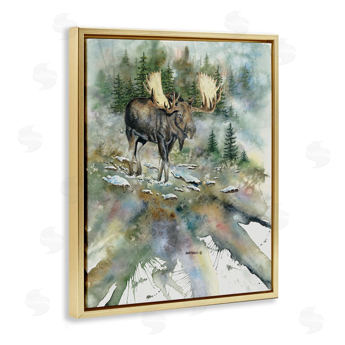 Dave Bartholet Moose Stepping Nature Wildlife