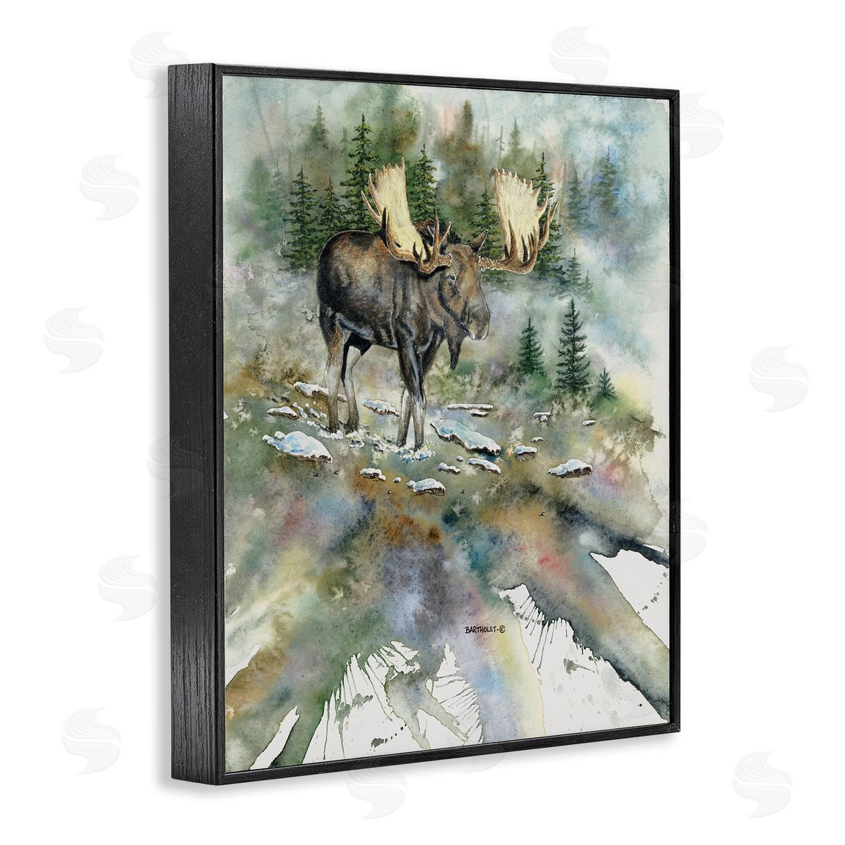 Dave Bartholet Moose Stepping Nature Wildlife