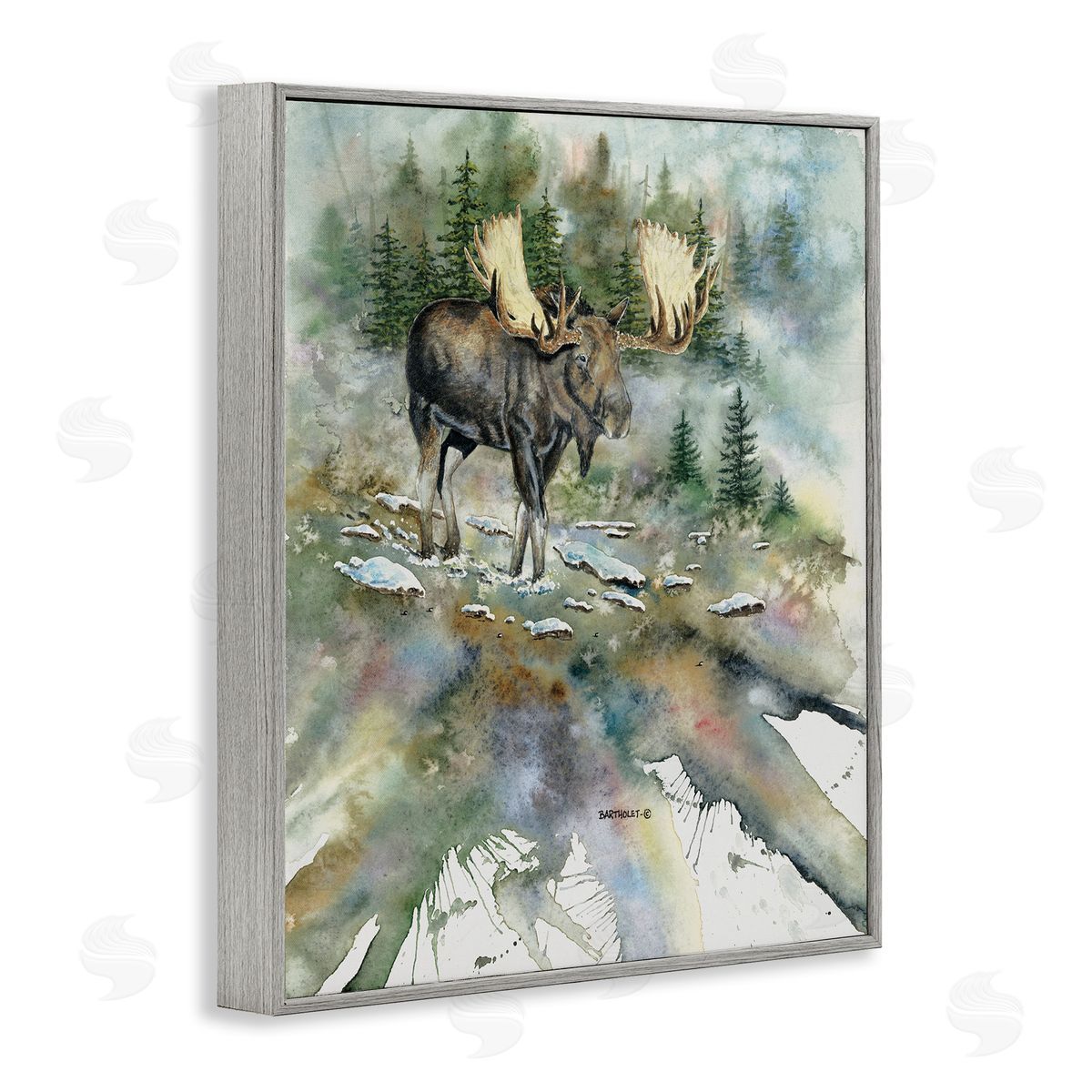 Dave Bartholet Moose Stepping Nature Wildlife