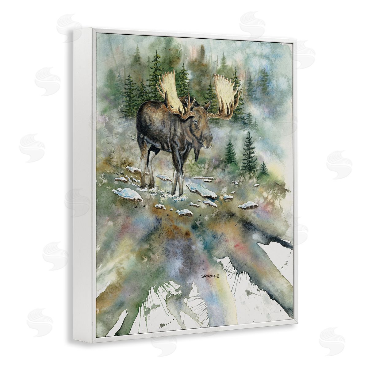 Dave Bartholet Moose Stepping Nature Wildlife