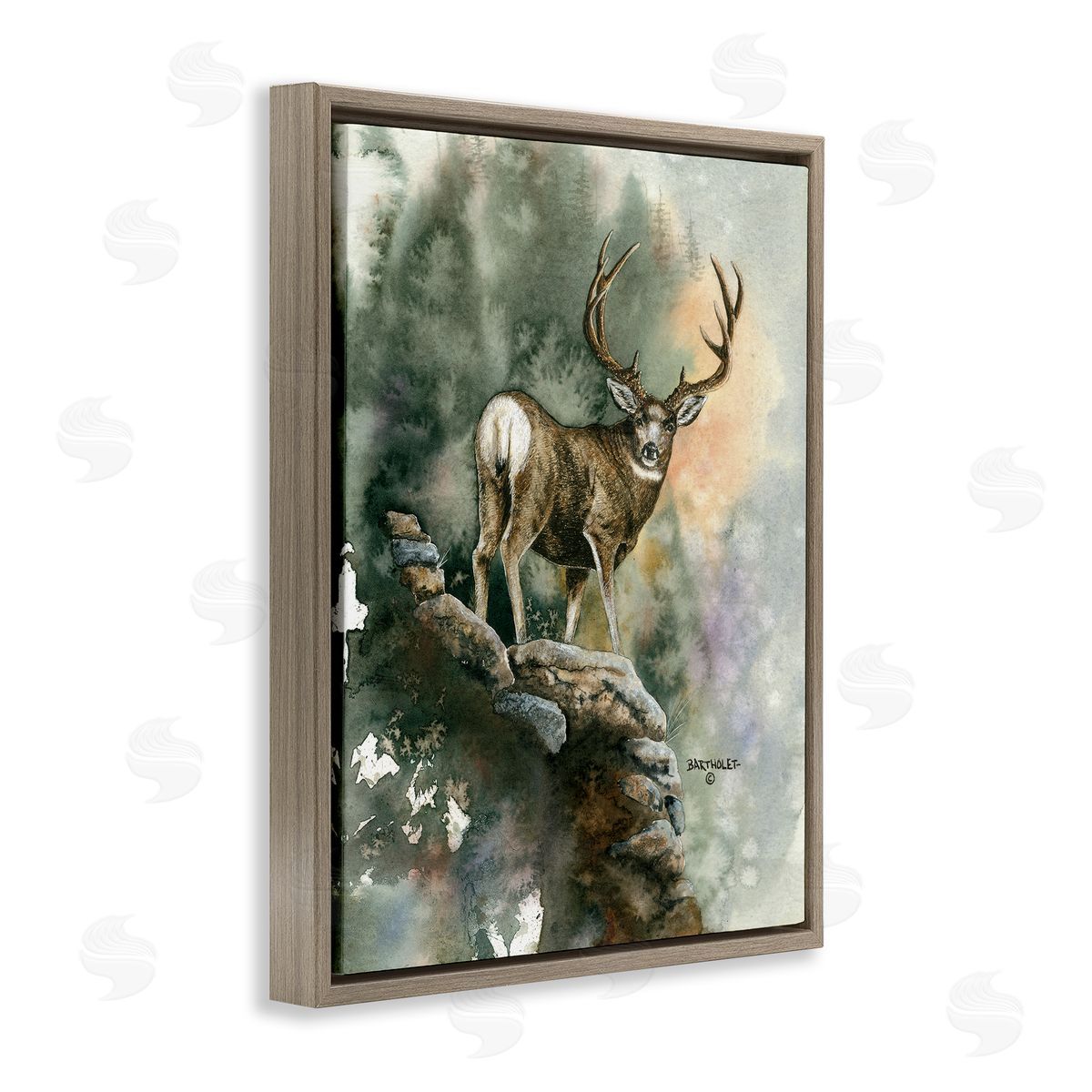 Dave Bartholet Deer Rocky Woodland Cliff