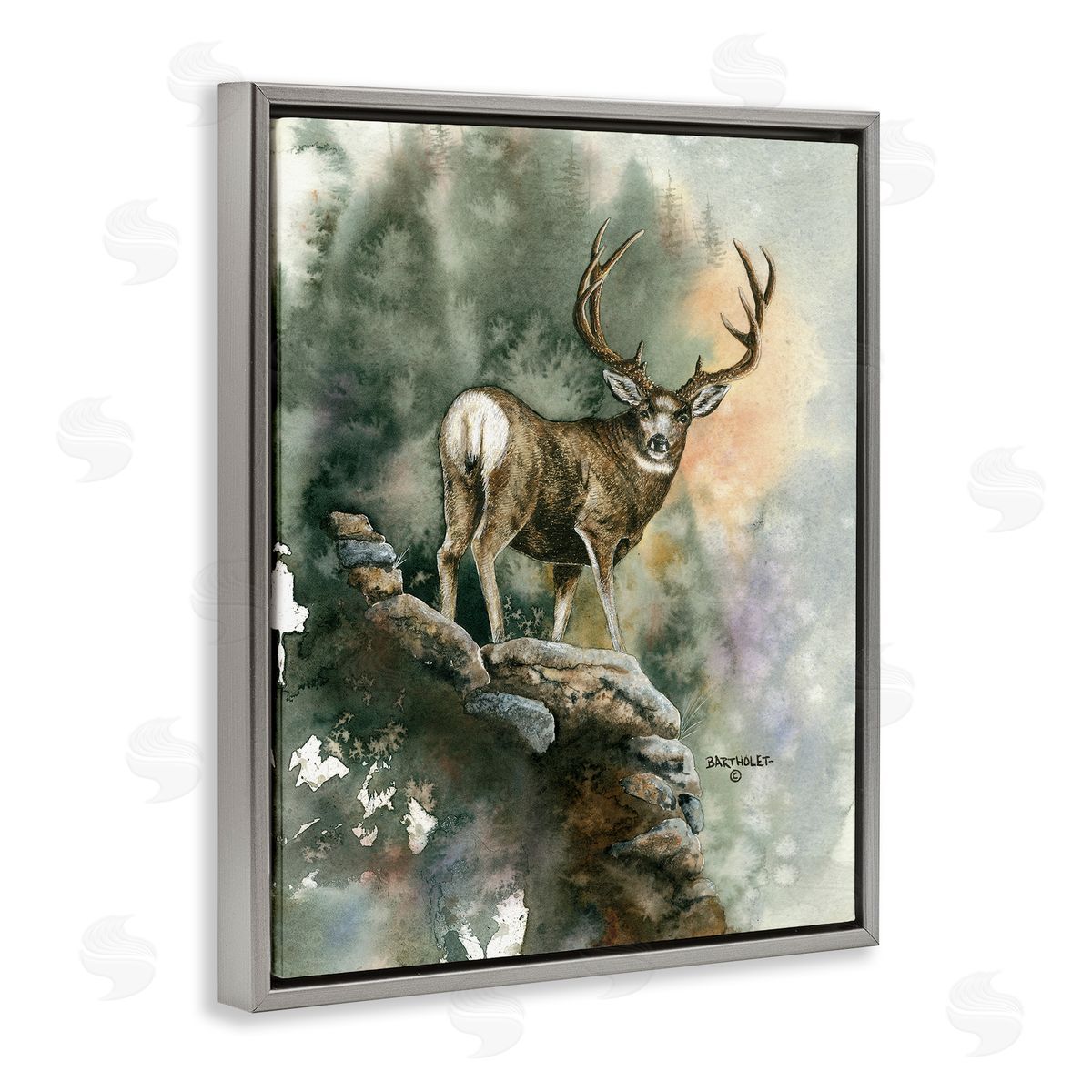 Dave Bartholet Deer Rocky Woodland Cliff