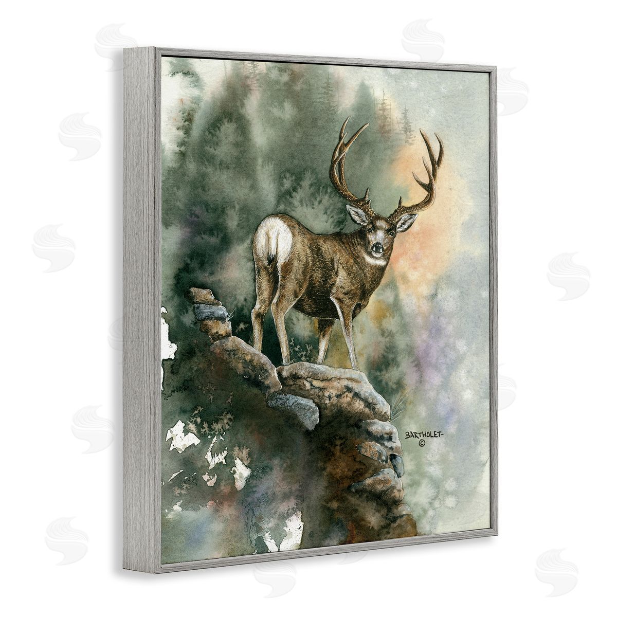 Dave Bartholet Deer Rocky Woodland Cliff