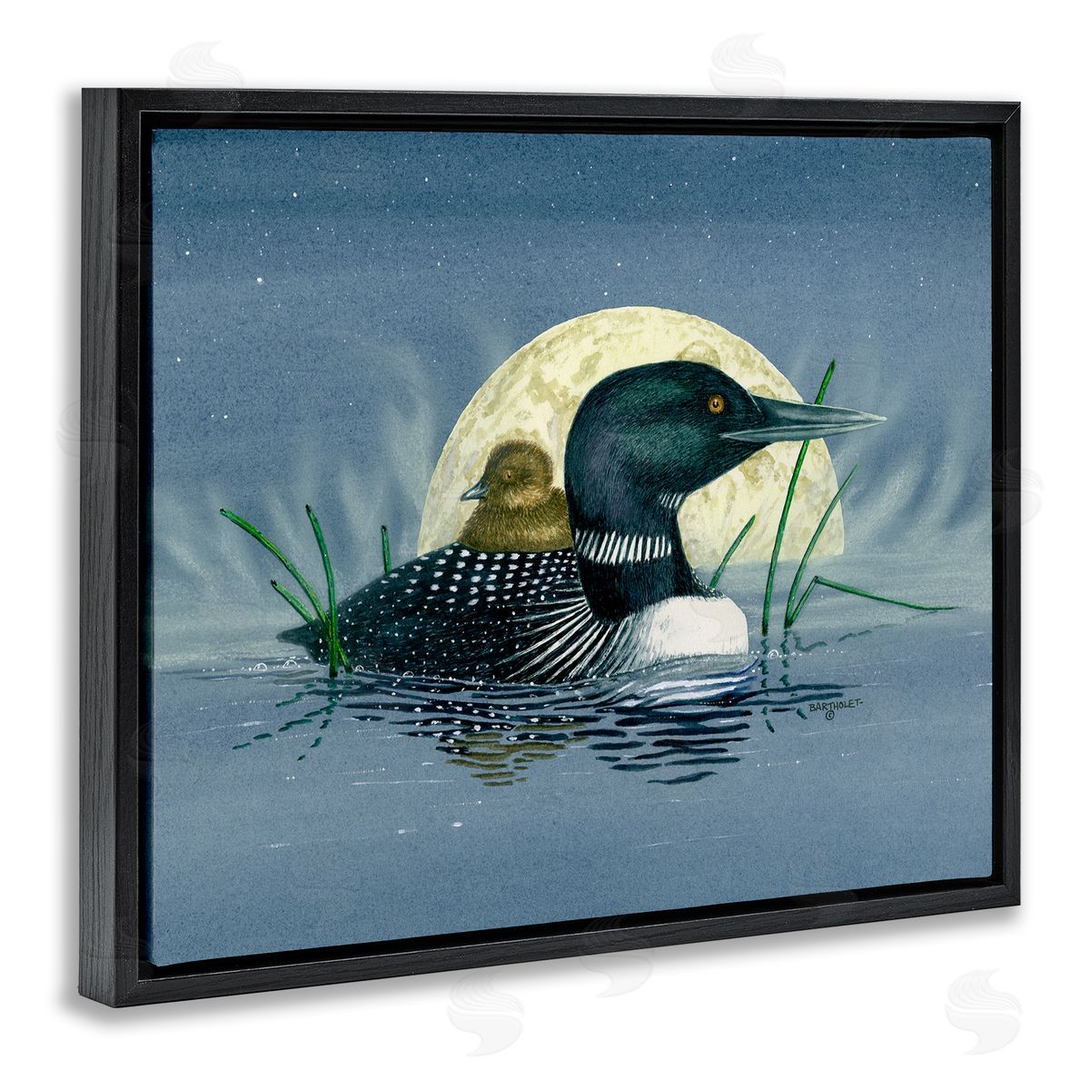 Dave Bartholet Mallard Duck Moonlit Pond