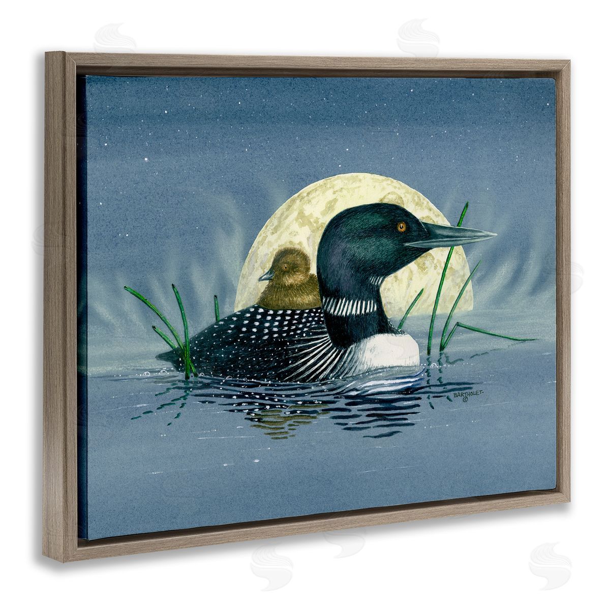 Dave Bartholet Mallard Duck Moonlit Pond