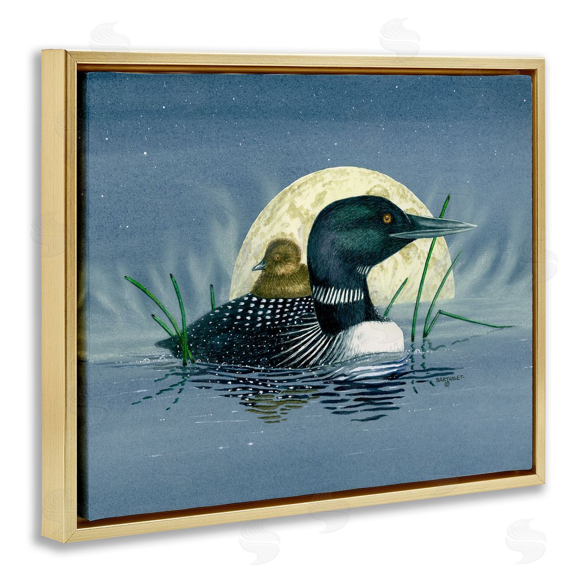 Dave Bartholet Mallard Duck Moonlit Pond