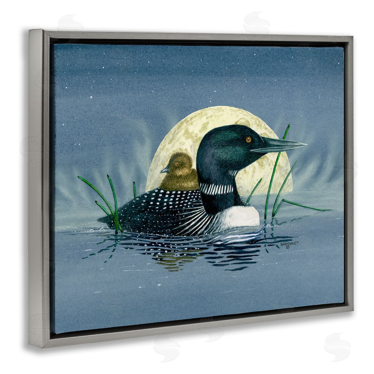 Dave Bartholet Mallard Duck Moonlit Pond