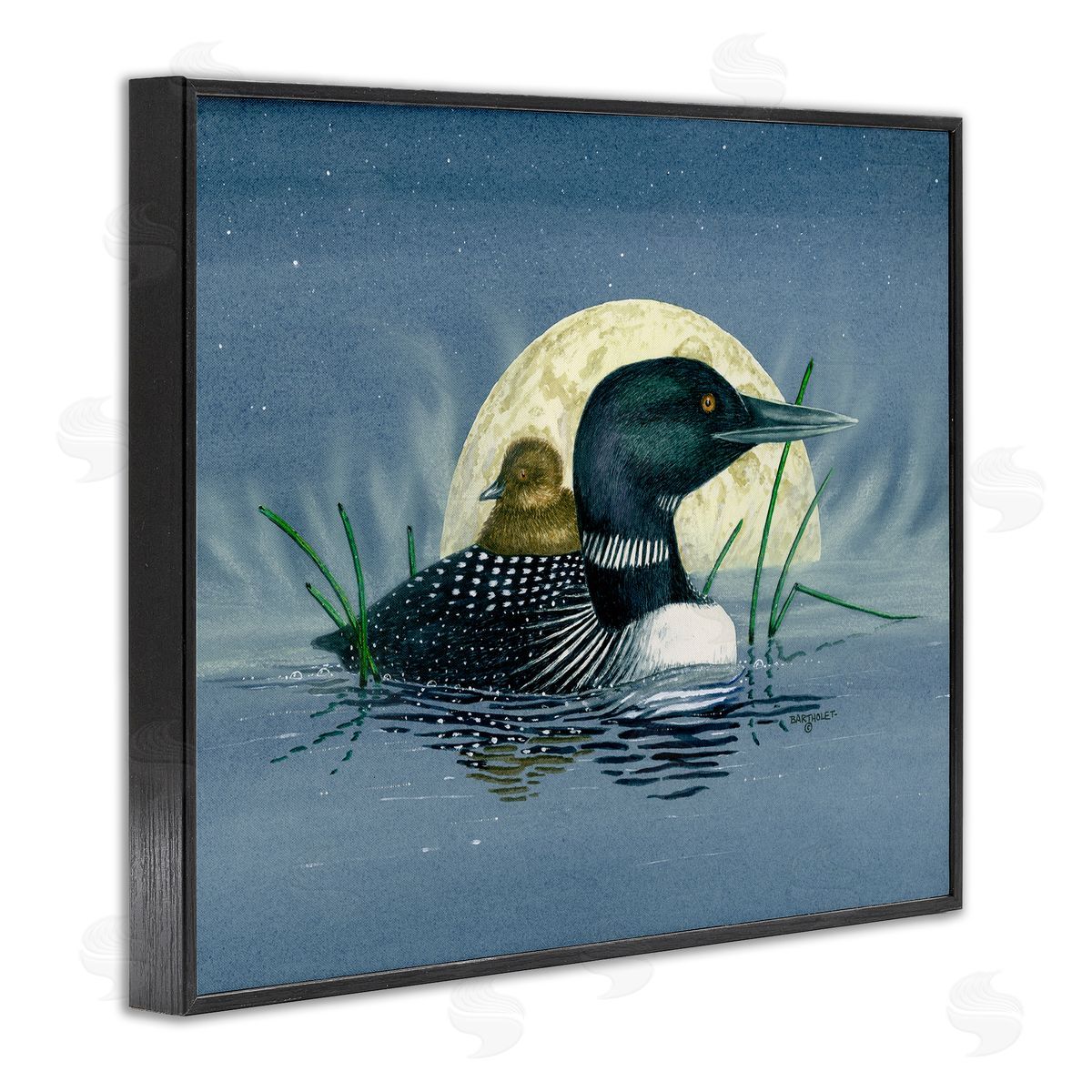Dave Bartholet Mallard Duck Moonlit Pond