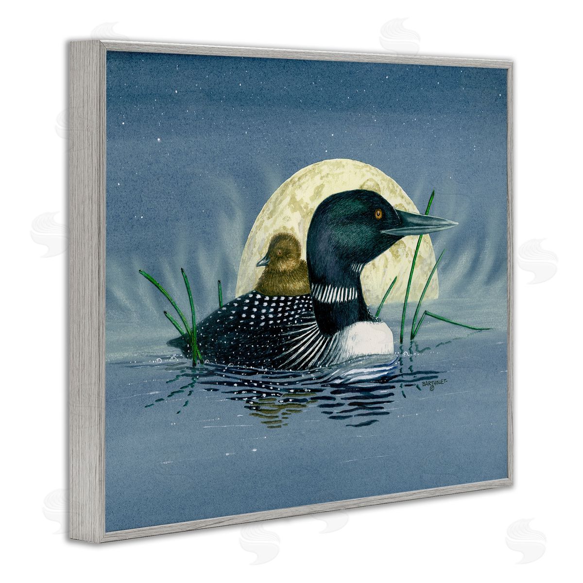Dave Bartholet Mallard Duck Moonlit Pond