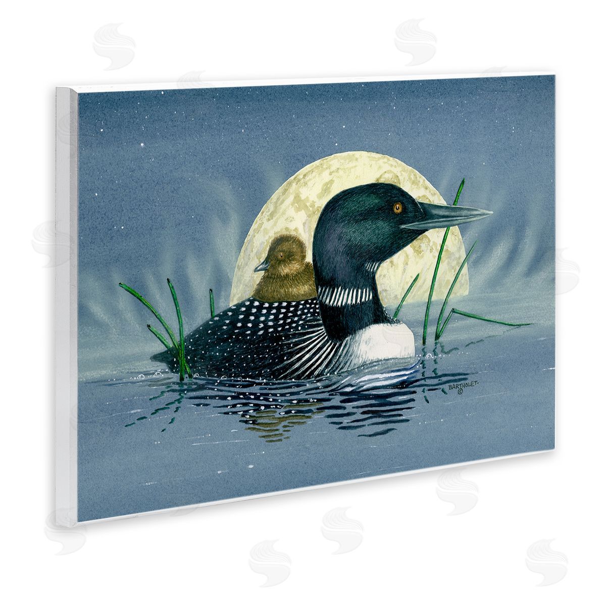 Dave Bartholet Mallard Duck Moonlit Pond