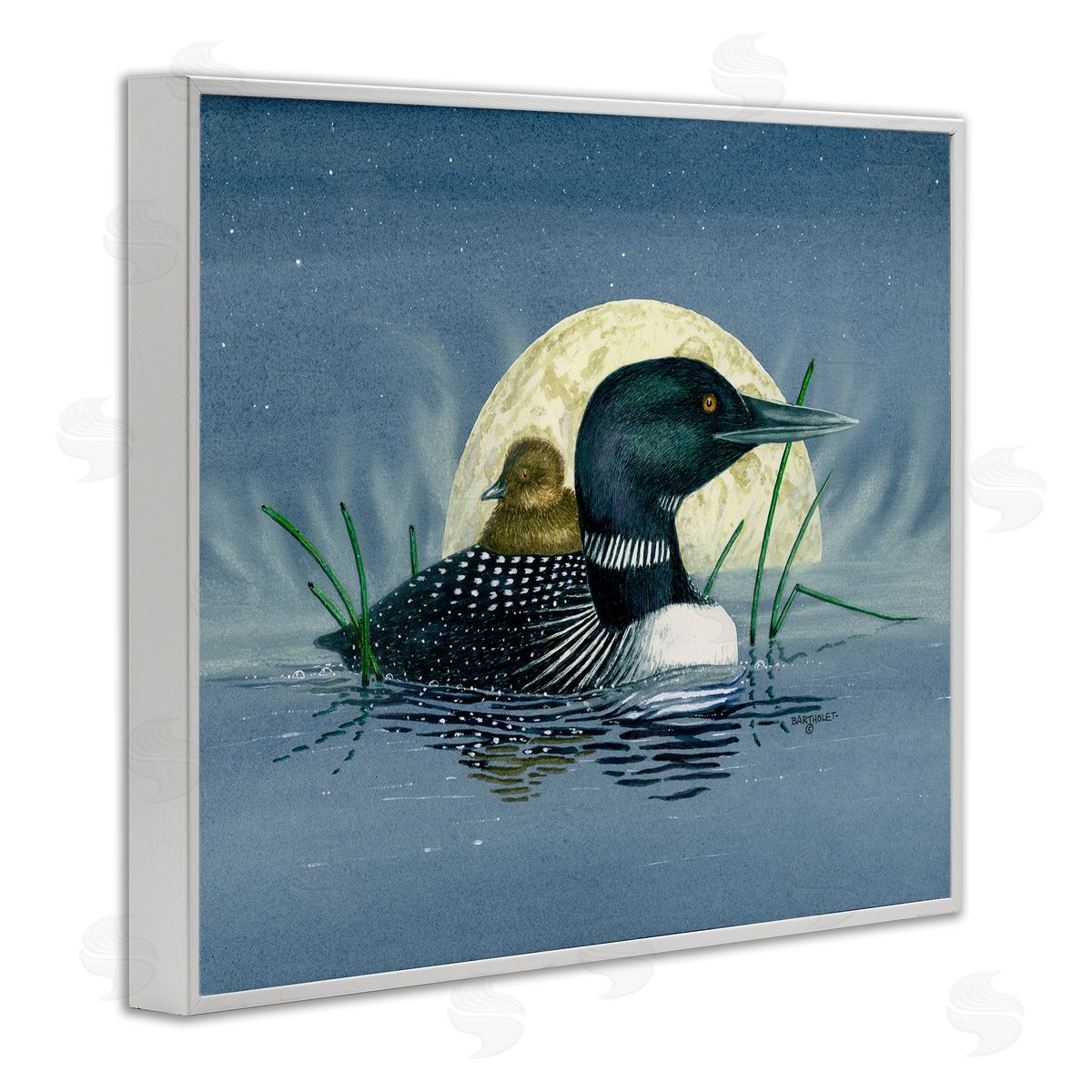 Dave Bartholet Mallard Duck Moonlit Pond