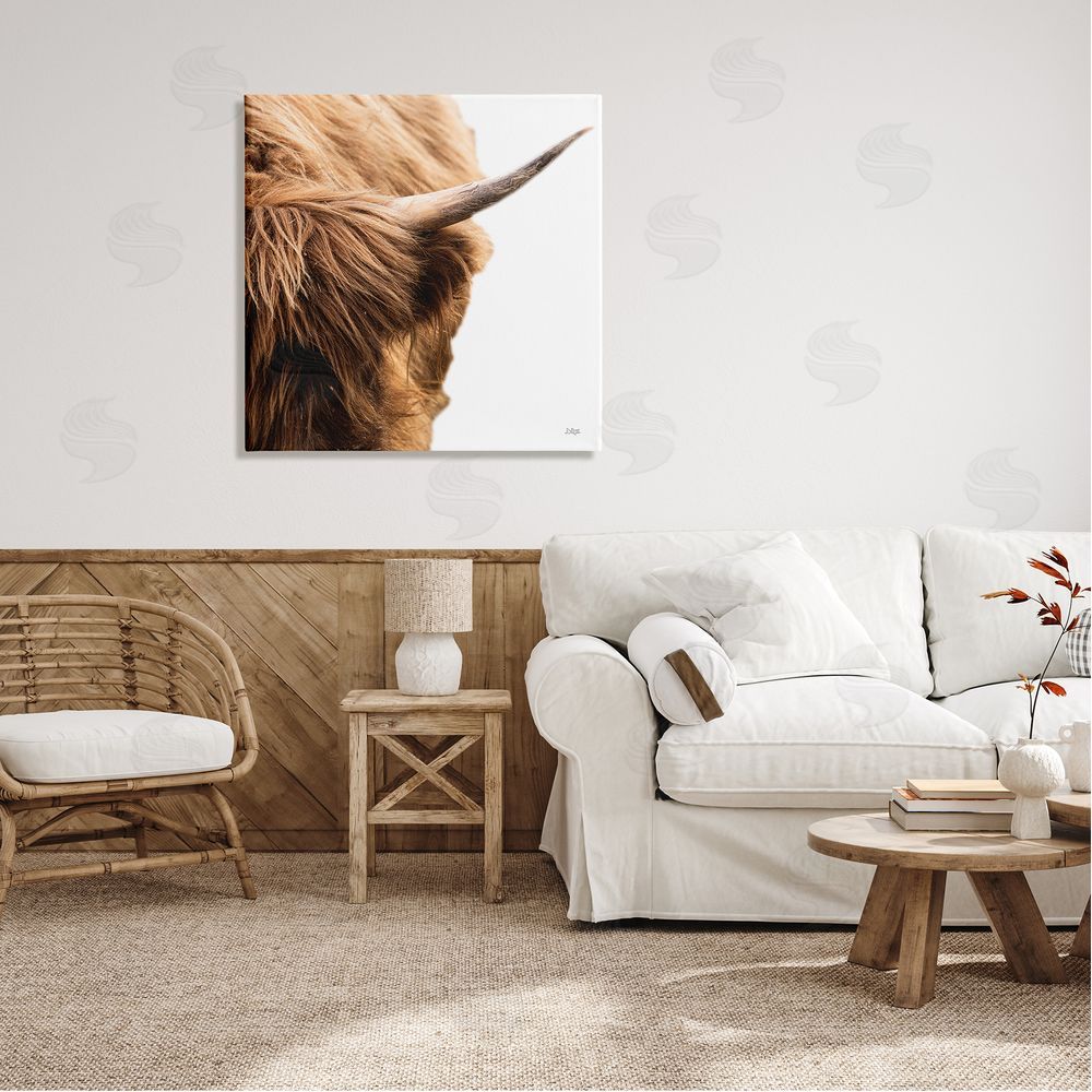 Donnie Quillen Close Up Cattle Horn Photography Canvas Wall Art in Room