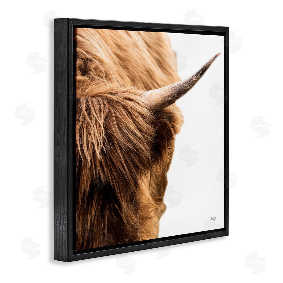 Donnie Quillen Close Up Cattle Horn Photography Black Floating Frame Canvas Wall Art Print