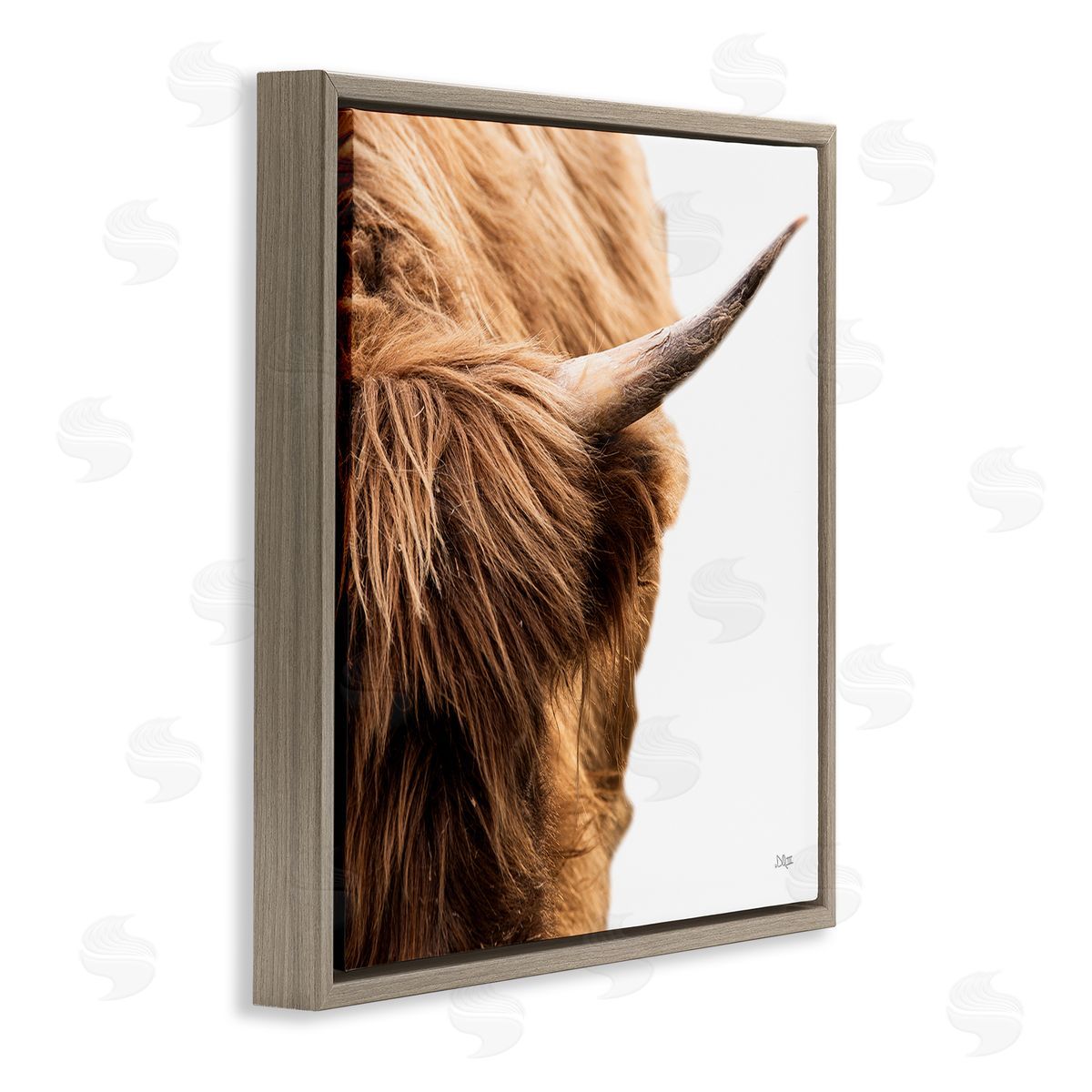 Donnie Quillen Close Up Cattle Horn Photography Brown Floating Frame Canvas Wall Art Print