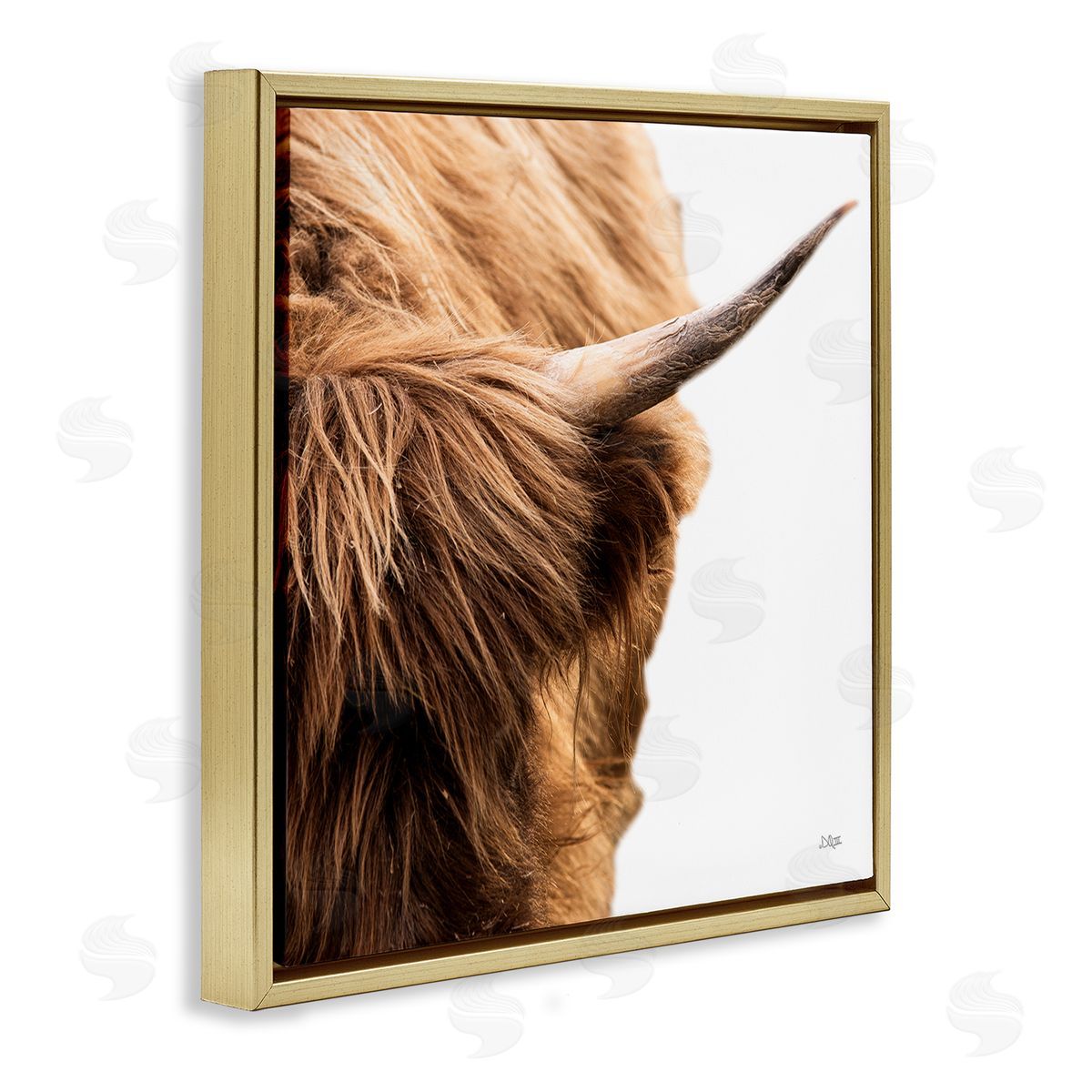 Donnie Quillen Close Up Cattle Horn Photography Gold Floating Frame Canvas Wall Art Print