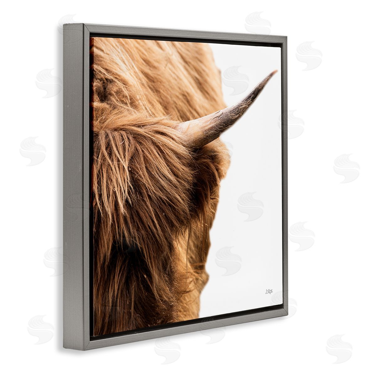 Donnie Quillen Close Up Cattle Horn Photography Gray Floating Frame Canvas Wall Art Print