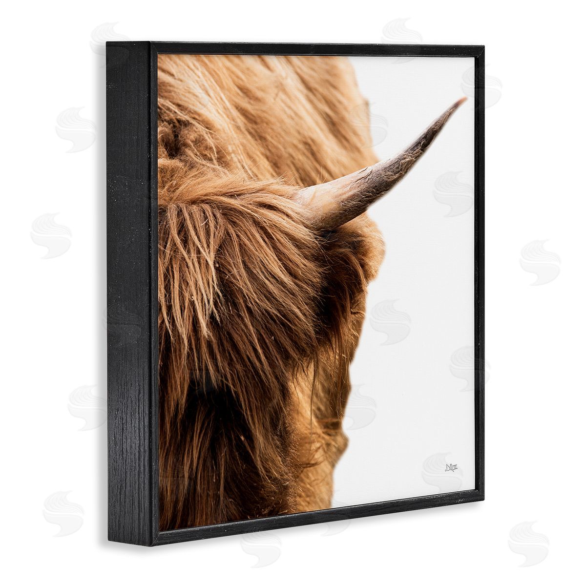 Donnie Quillen Close Up Cattle Horn Photography Black Framed Glicee Wall Art Print