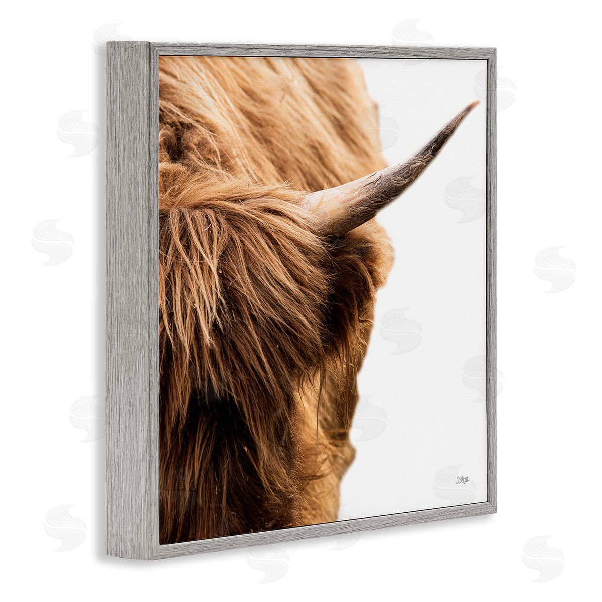 Donnie Quillen Close Up Cattle Horn Photography Gray Framed Glicee Wall Art Print