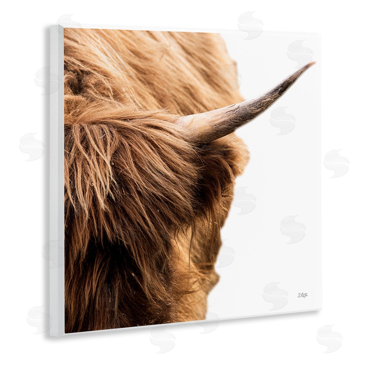 Donnie Quillen Close Up Cattle Horn Photography Wooden Wall Plaque Art Print