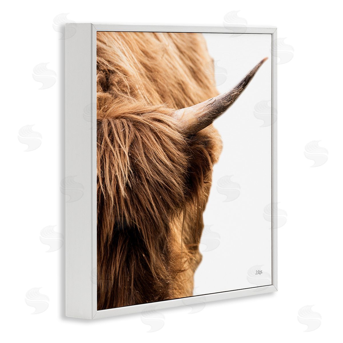 Donnie Quillen Close Up Cattle Horn Photography White Framed Glicee Wall Art Print