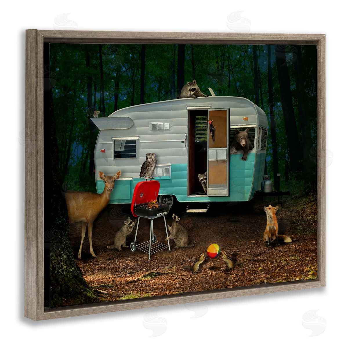 John Hovenstine RV Camping Woodland Wildlife Animals