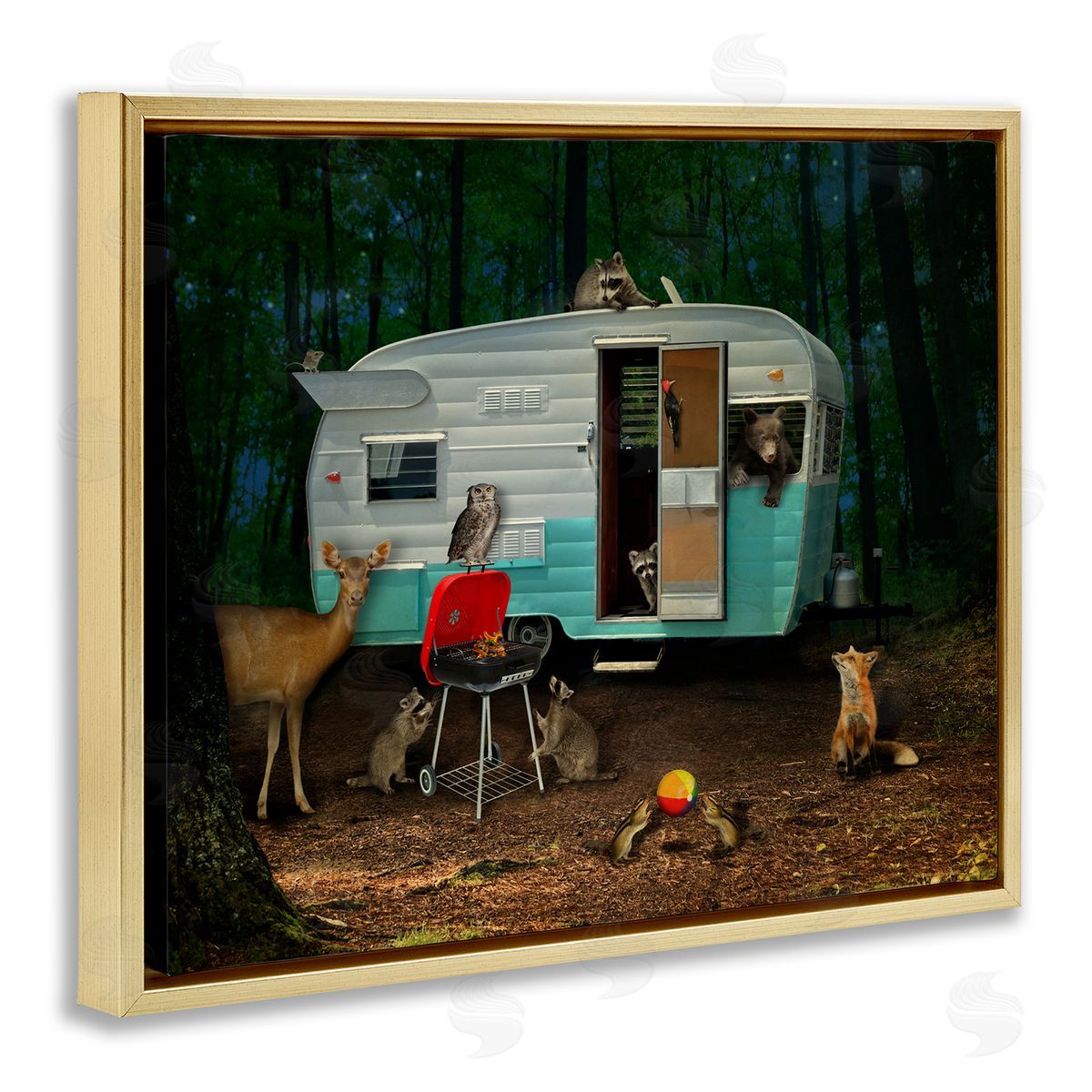 John Hovenstine RV Camping Woodland Wildlife Animals