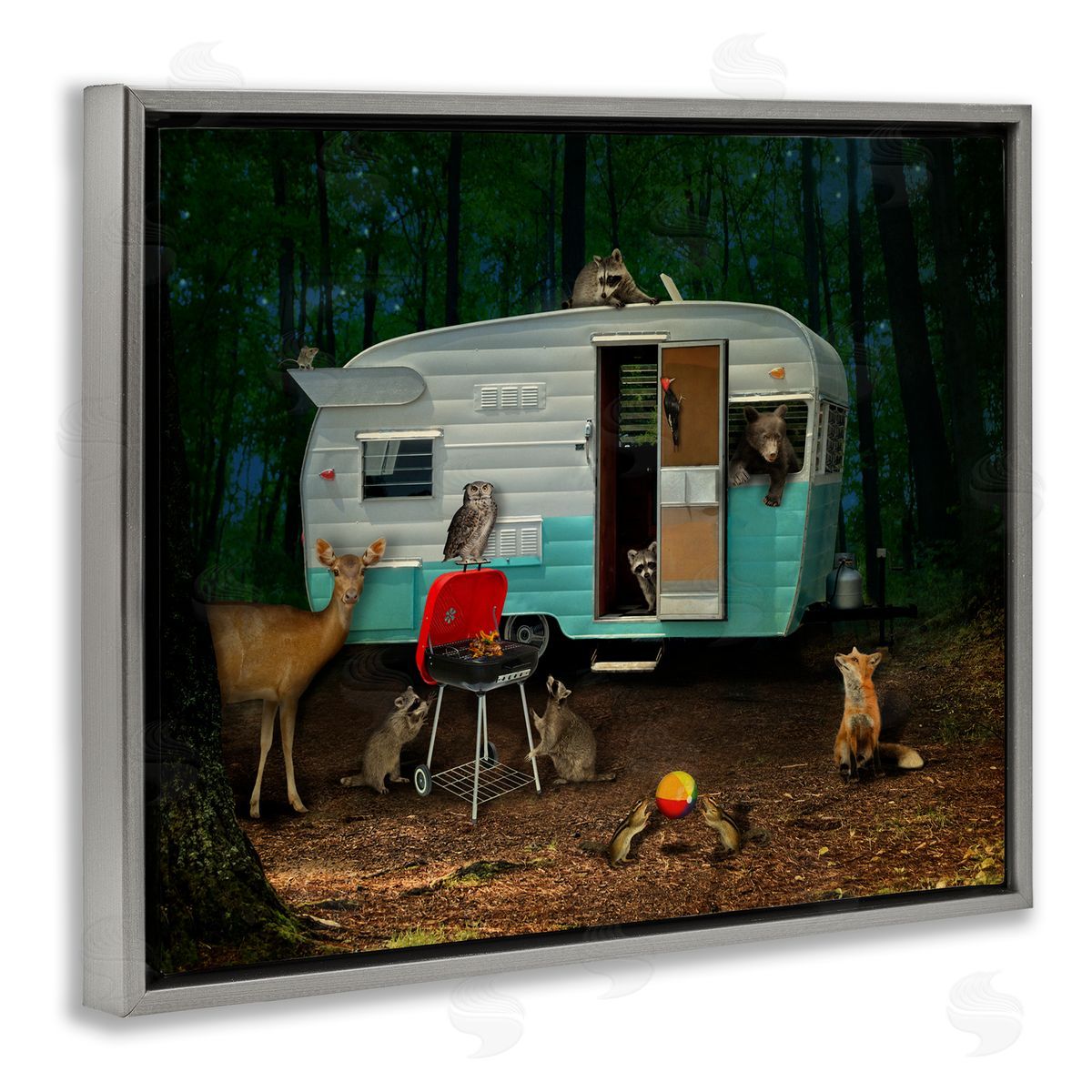 John Hovenstine RV Camping Woodland Wildlife Animals