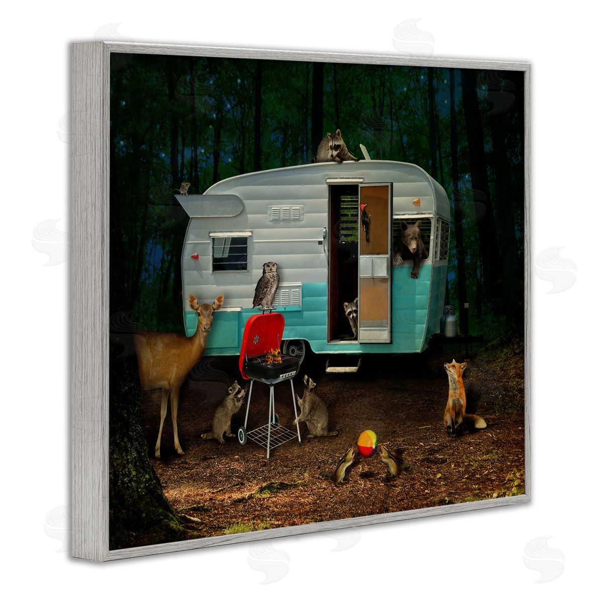 John Hovenstine RV Camping Woodland Wildlife Animals