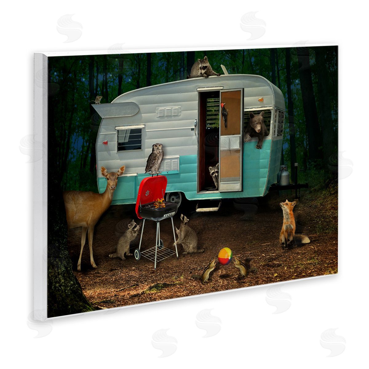 John Hovenstine RV Camping Woodland Wildlife Animals