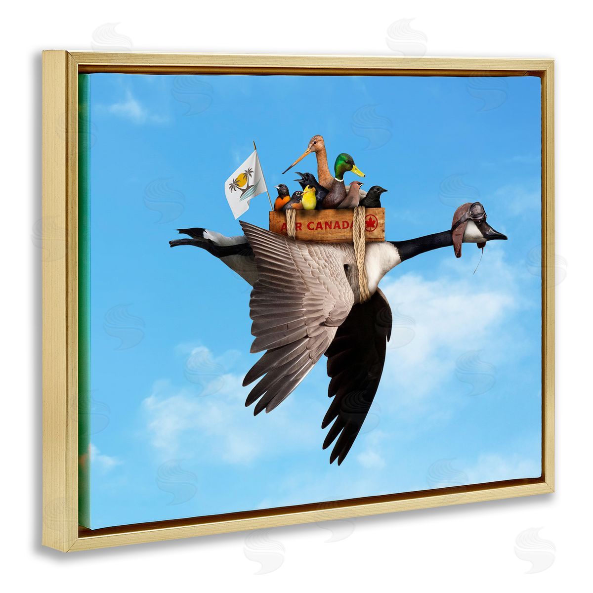 John Hovenstine Pilot Goose Flying Ducks Sky