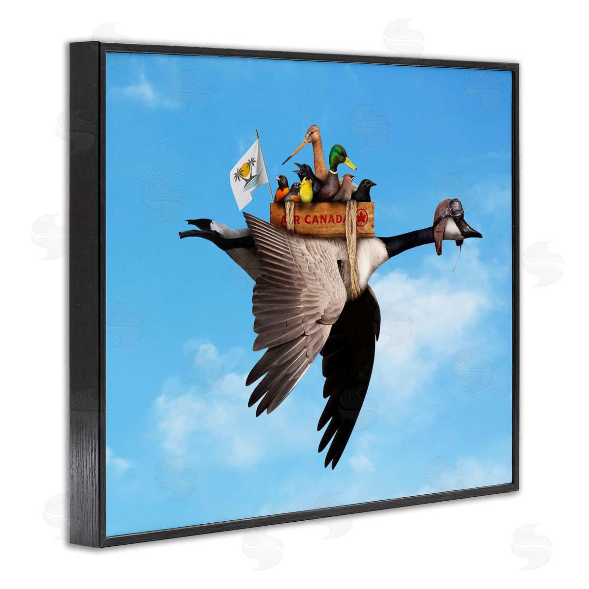 John Hovenstine Pilot Goose Flying Ducks Sky