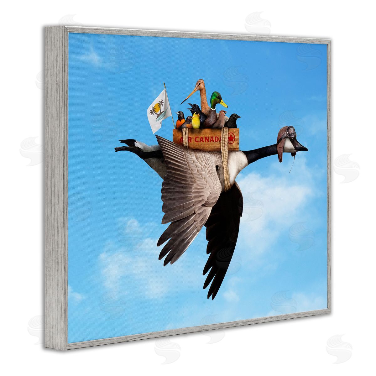 John Hovenstine Pilot Goose Flying Ducks Sky