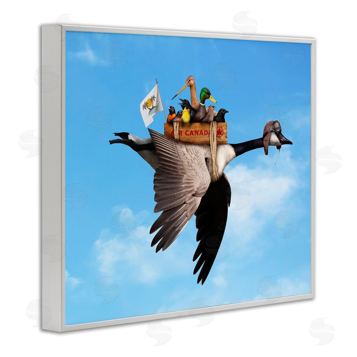 John Hovenstine Pilot Goose Flying Ducks Sky