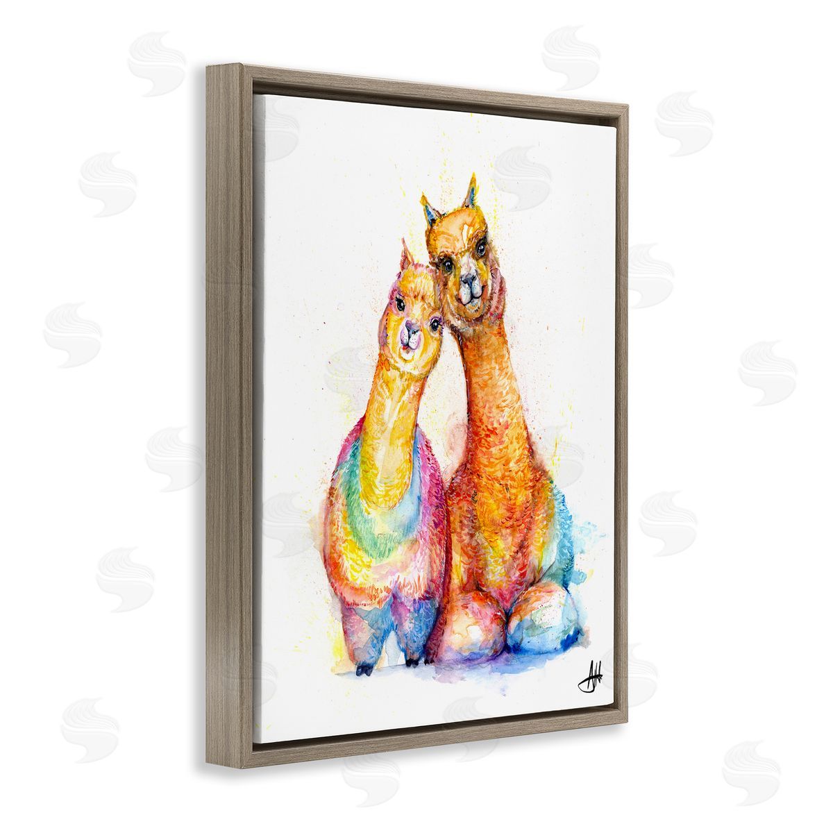 Marc Allante Smiling Alpacas Rainbow Animals