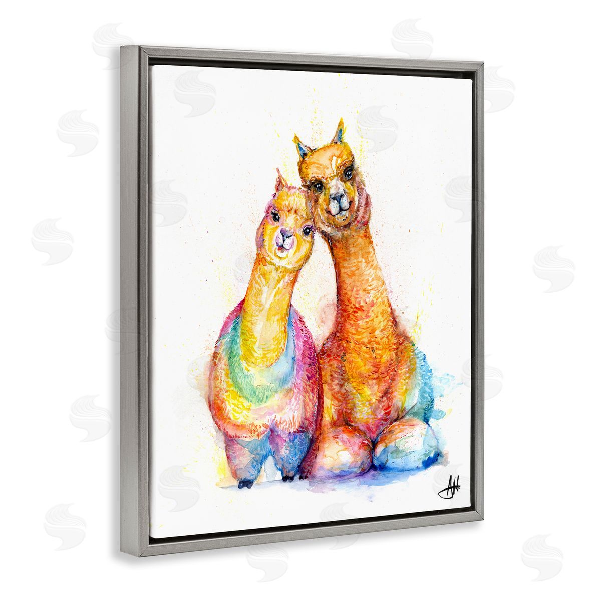 Marc Allante Smiling Alpacas Rainbow Animals