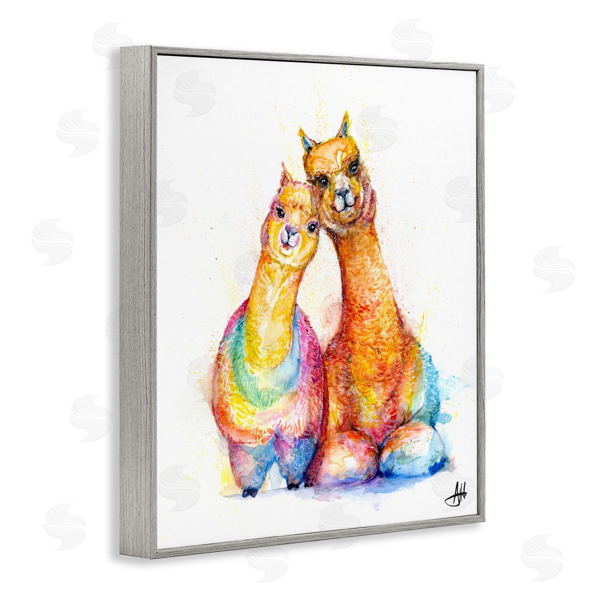 Marc Allante Smiling Alpacas Rainbow Animals