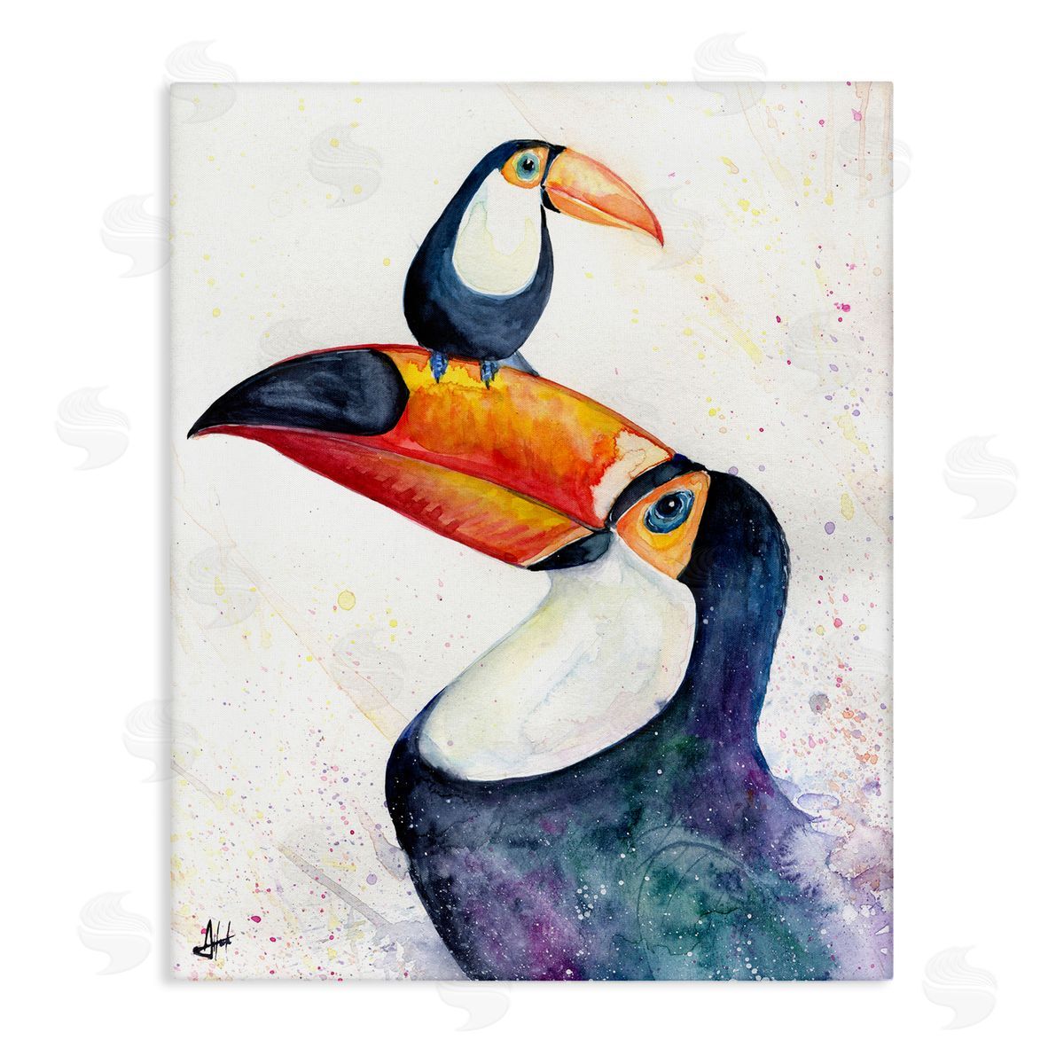 Marc Allante Toucan Baby & Mother Perched