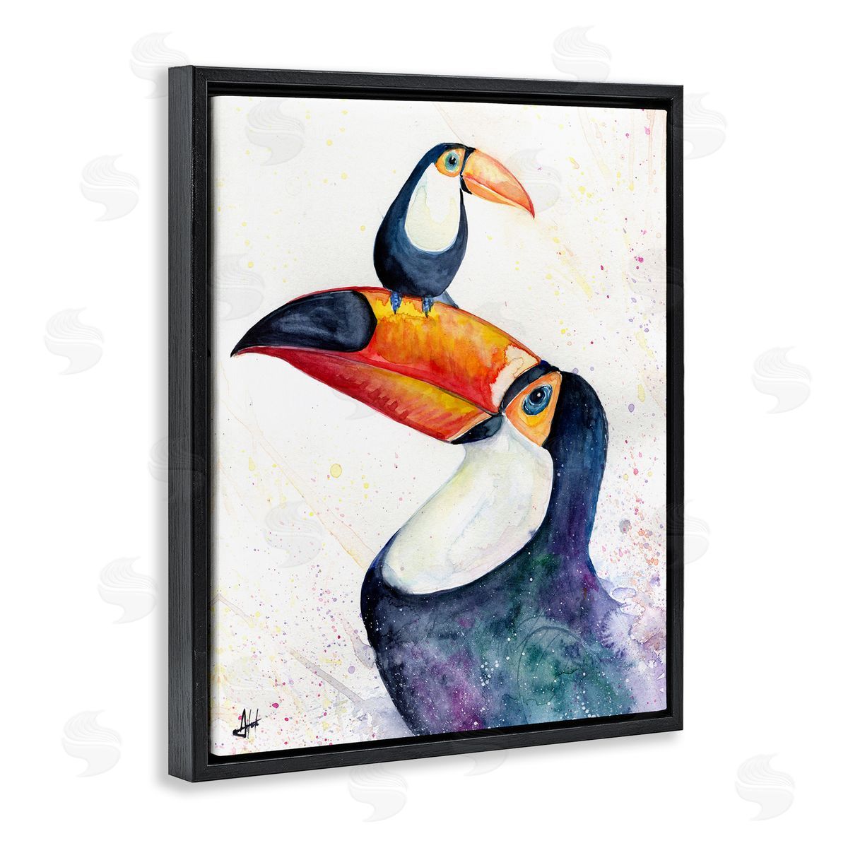 Marc Allante Toucan Baby & Mother Perched