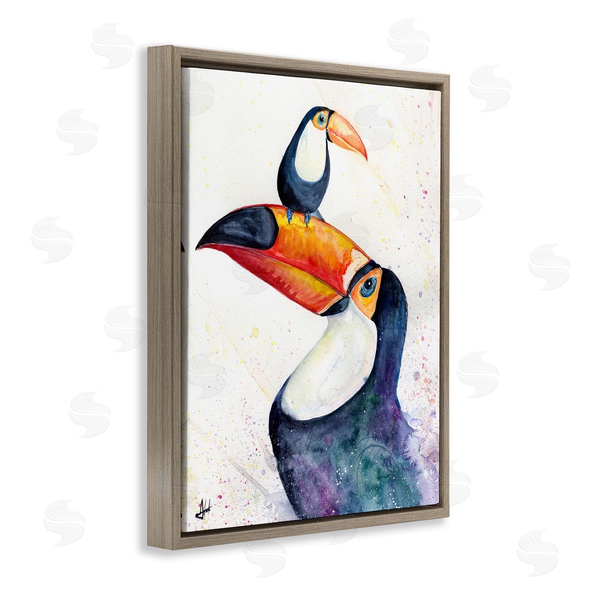 Marc Allante Toucan Baby & Mother Perched