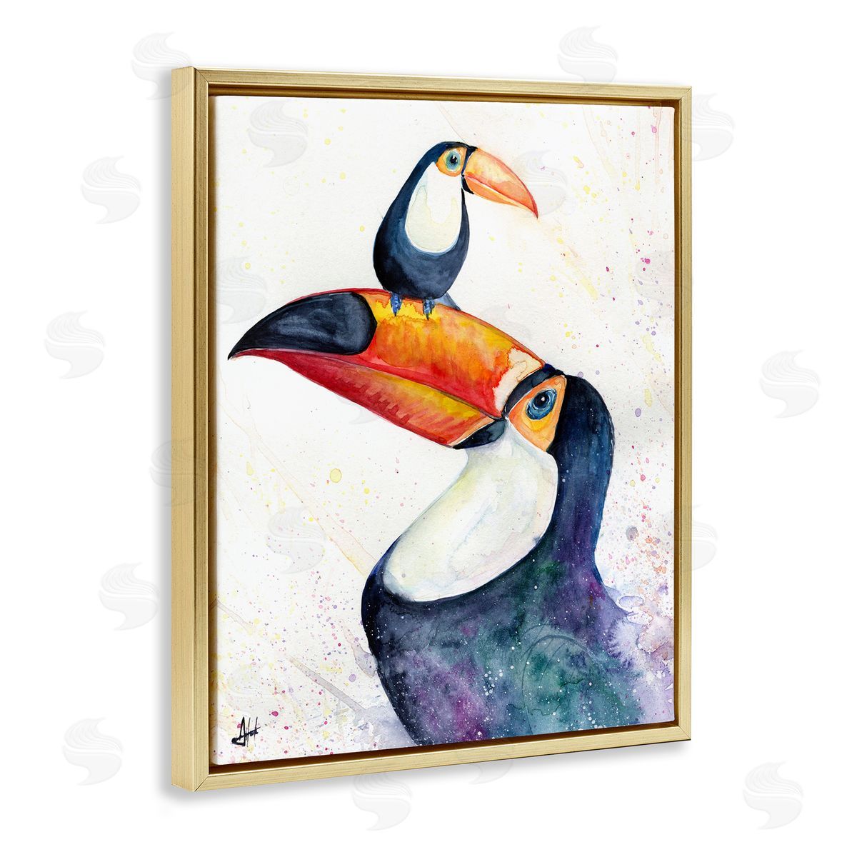 Marc Allante Toucan Baby & Mother Perched