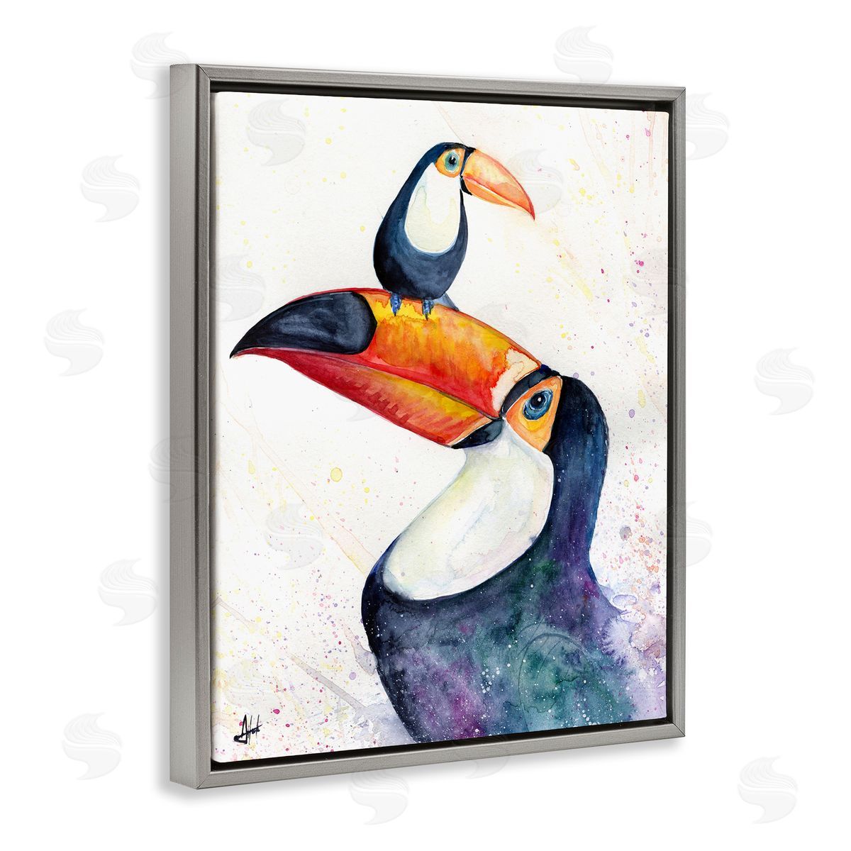 Marc Allante Toucan Baby & Mother Perched