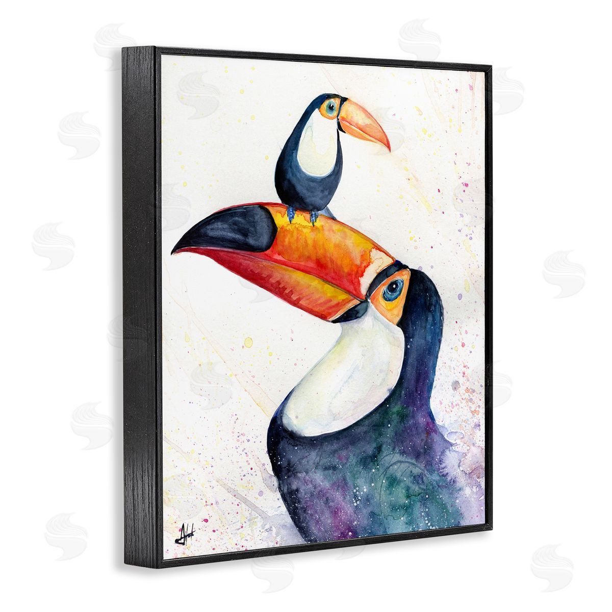 Marc Allante Toucan Baby & Mother Perched