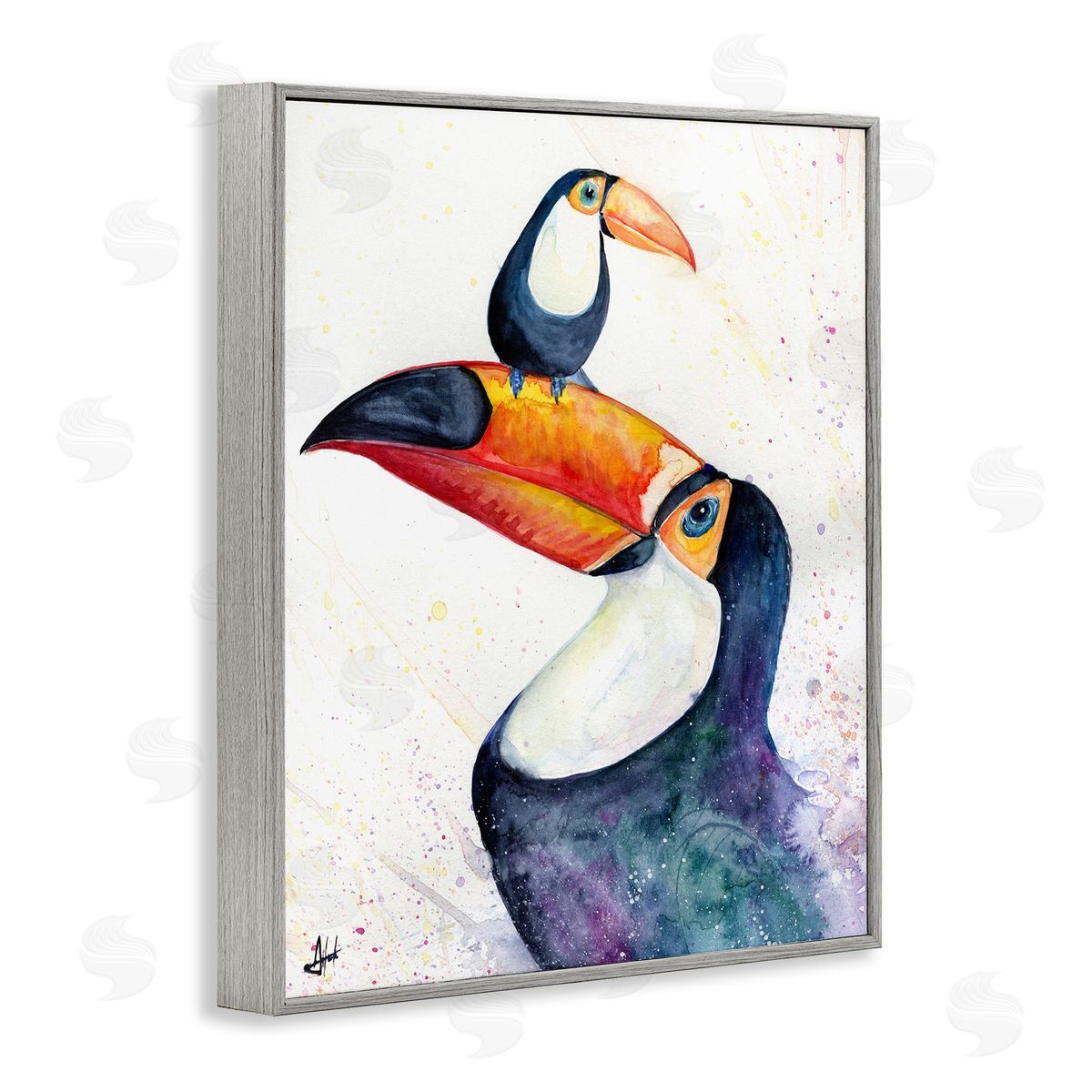 Marc Allante Toucan Baby & Mother Perched